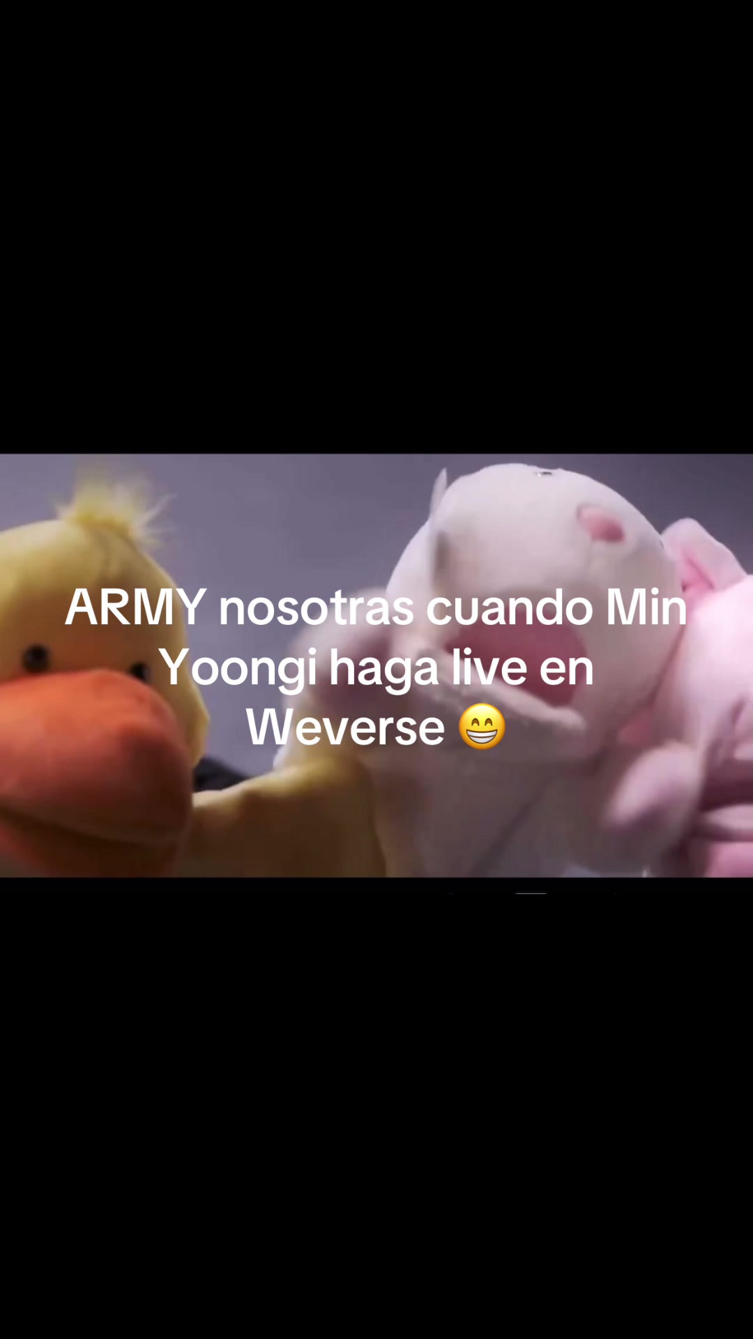 @jungkookjk137
