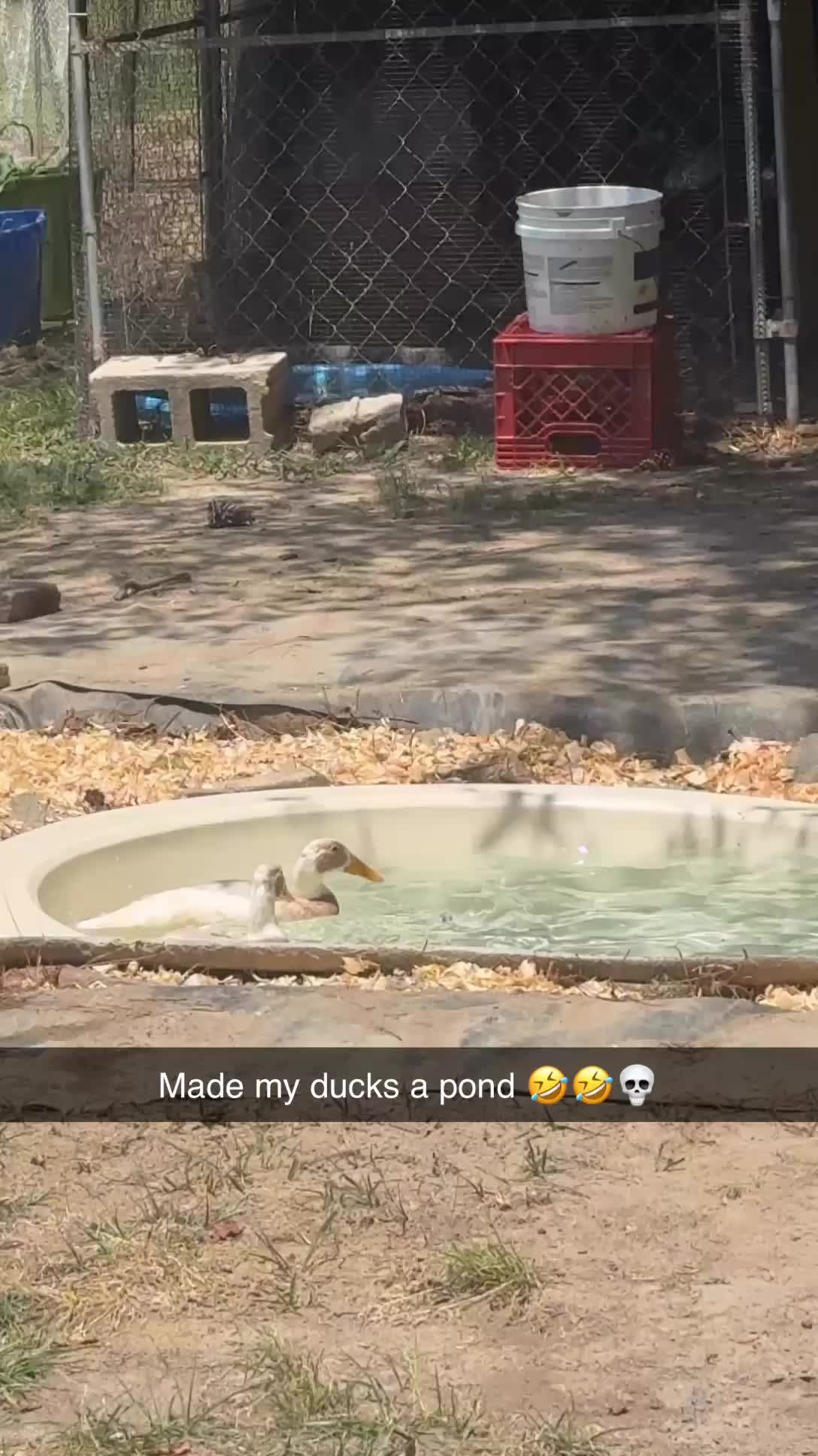 @cheyennelynn29