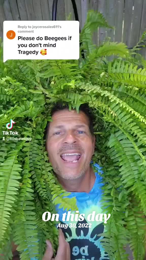 @Doug Shybee 🐝
