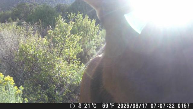 @SasquatchOutdoors505
