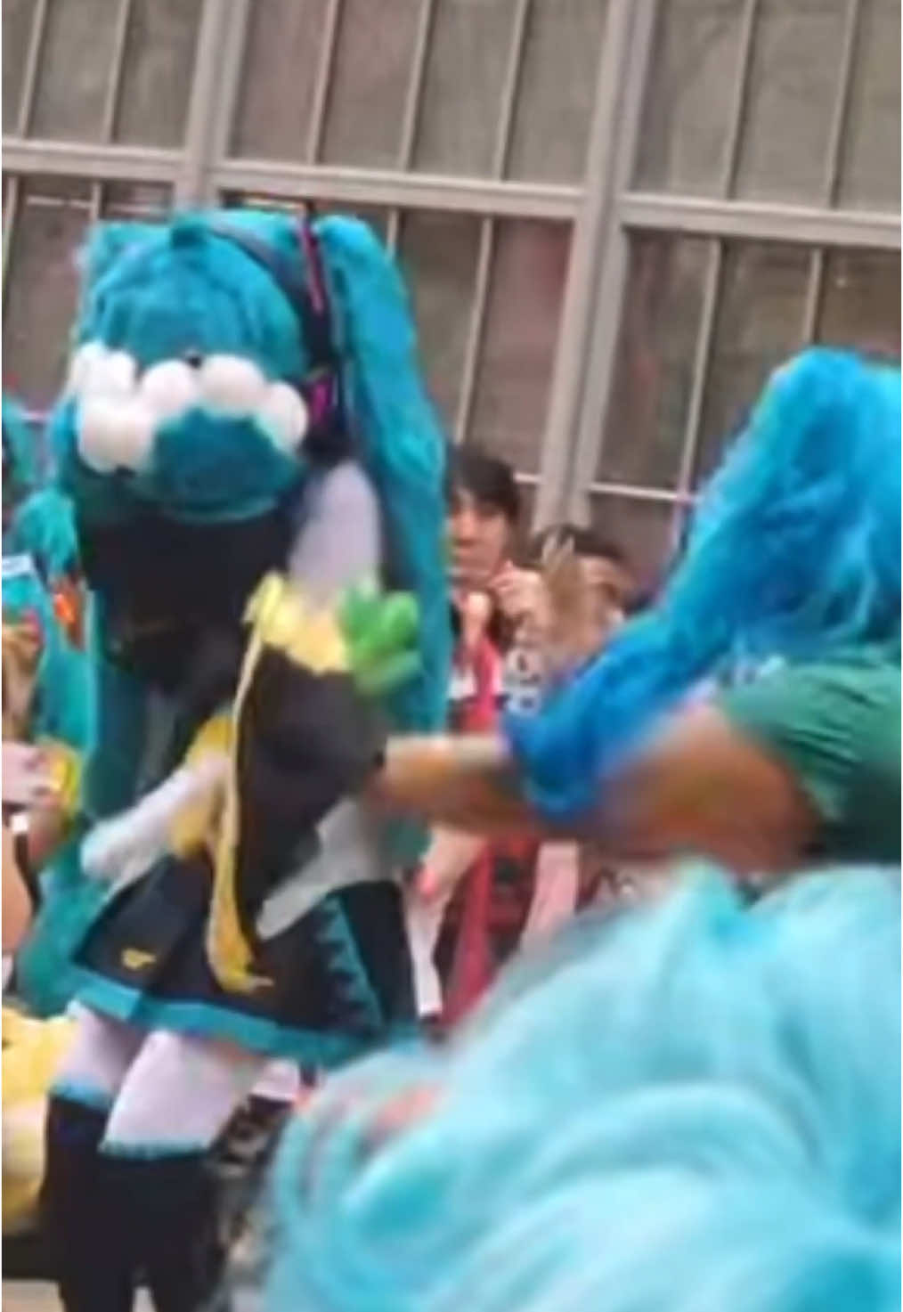 @๐โจ๐ฉโฏโฏ๐๐ถ ๐โด๐๐
๐๐ถ๐๐โจ๐