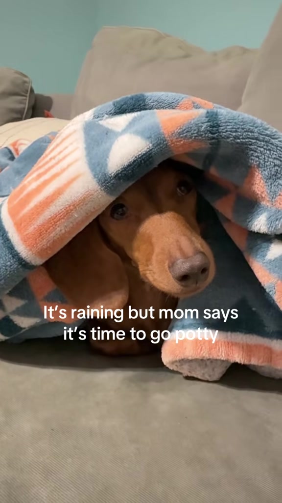 @Sarah and the Peanuts