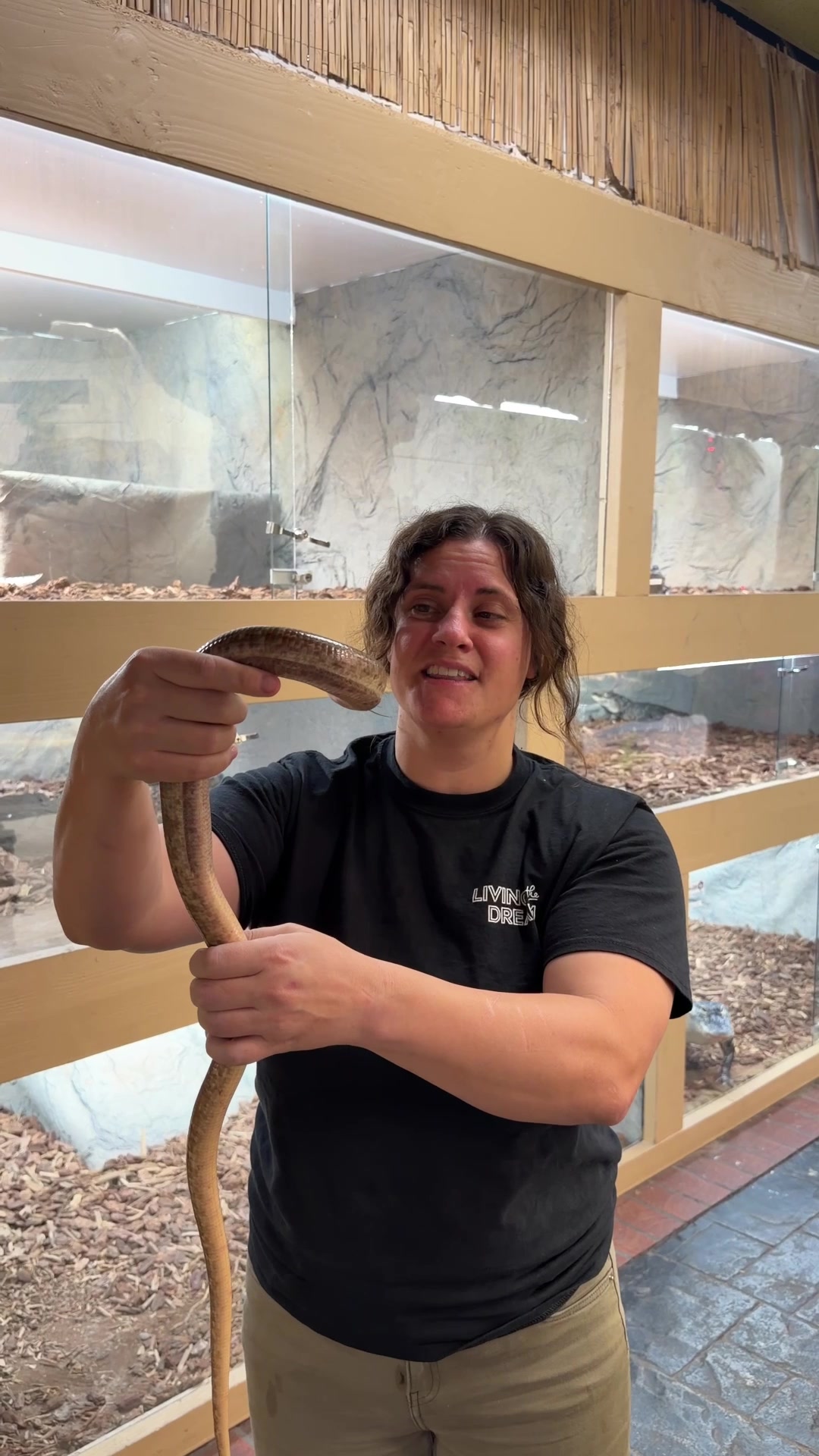 @The Reptile Zoo