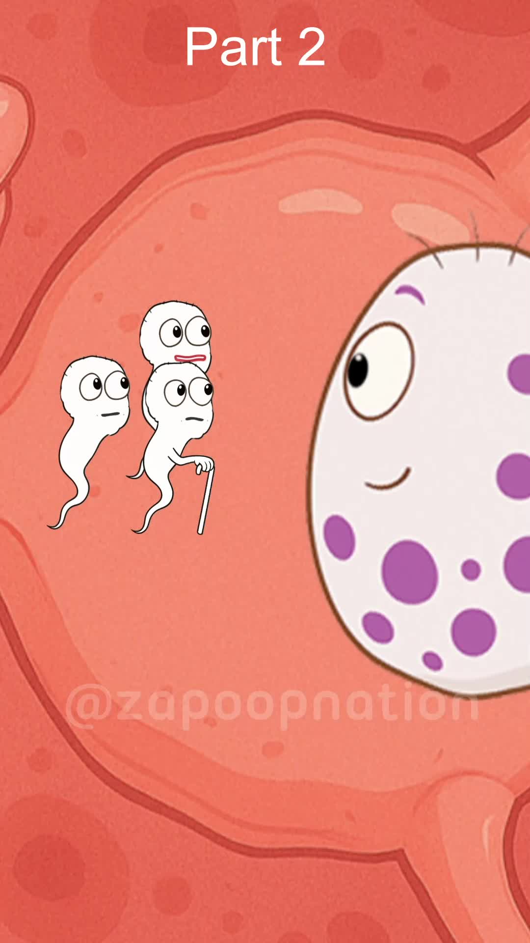 @zapoopnation_official