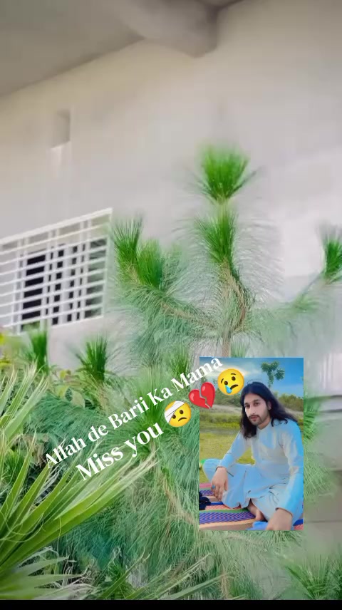@Amir 💔🍁
