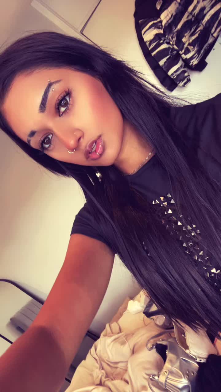@segsycelerystick