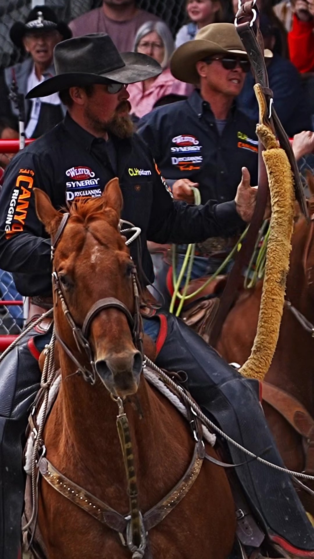 @Hanginghorses