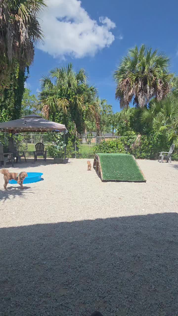 @tatumpetcarehaven