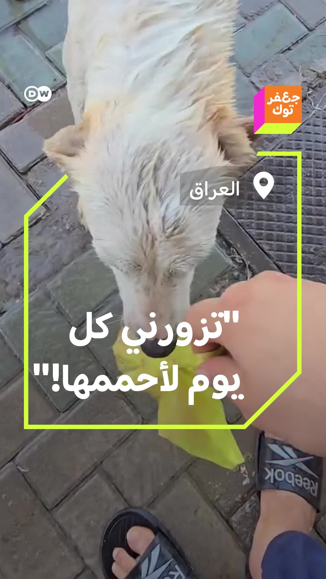 @Jaafartalk جعفر توك