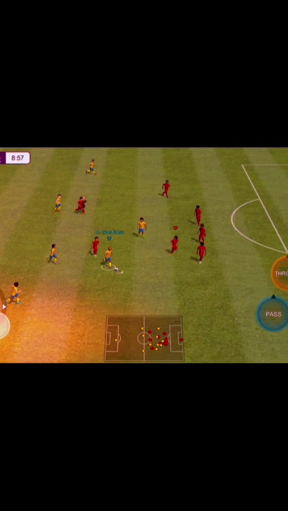 @Dodo gardiana 🇧🇷