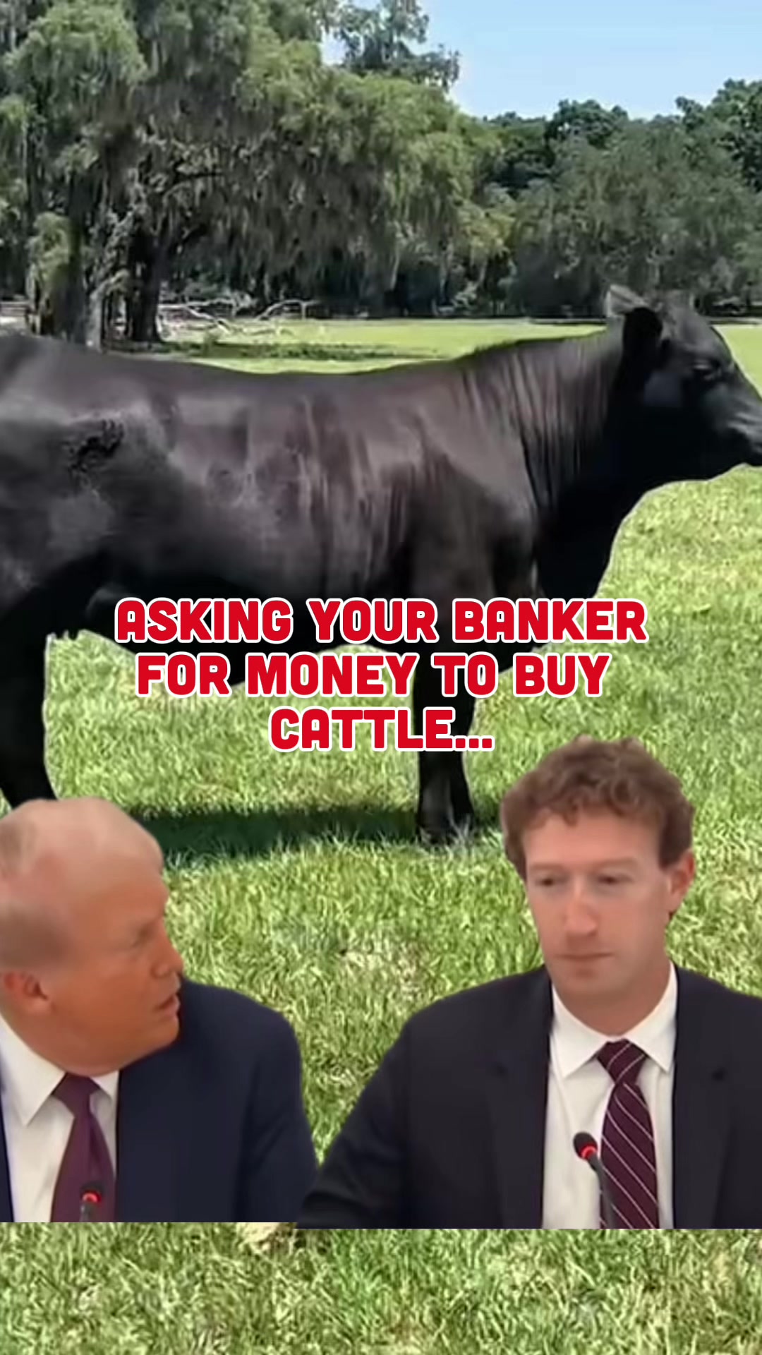 @Cattlemen’s Livestock Market