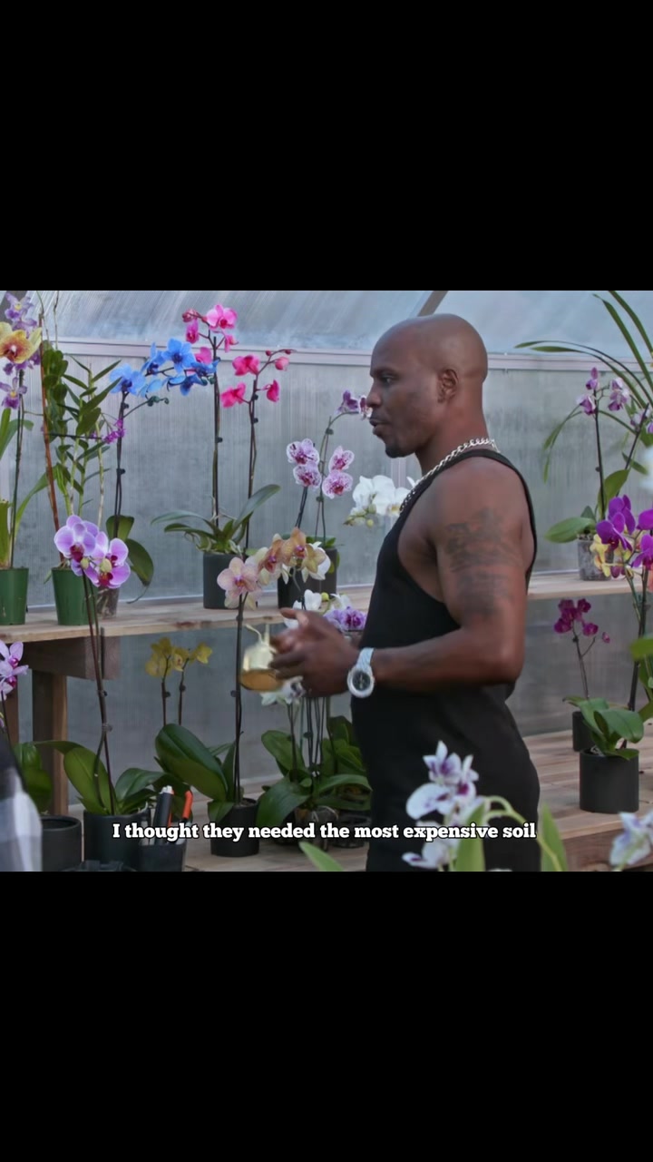 @DMX