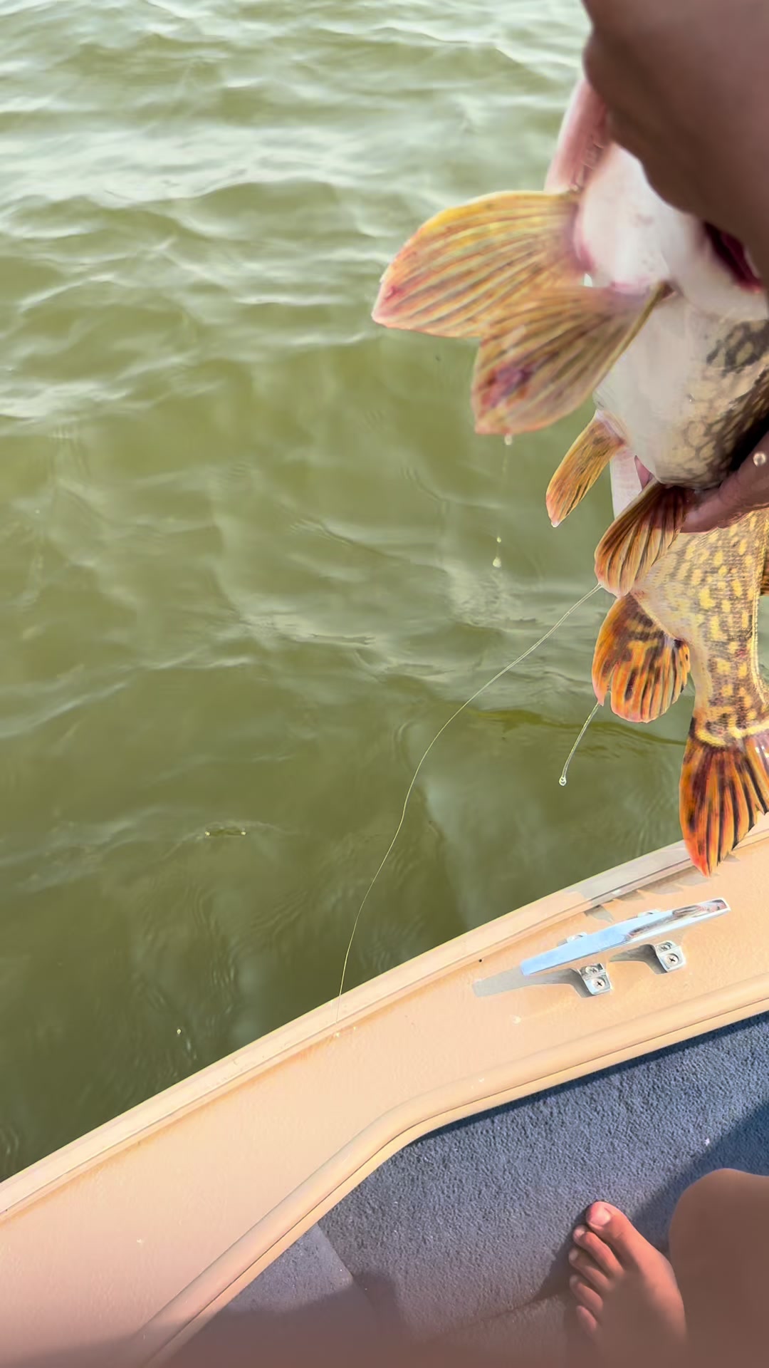 @wi_bassin