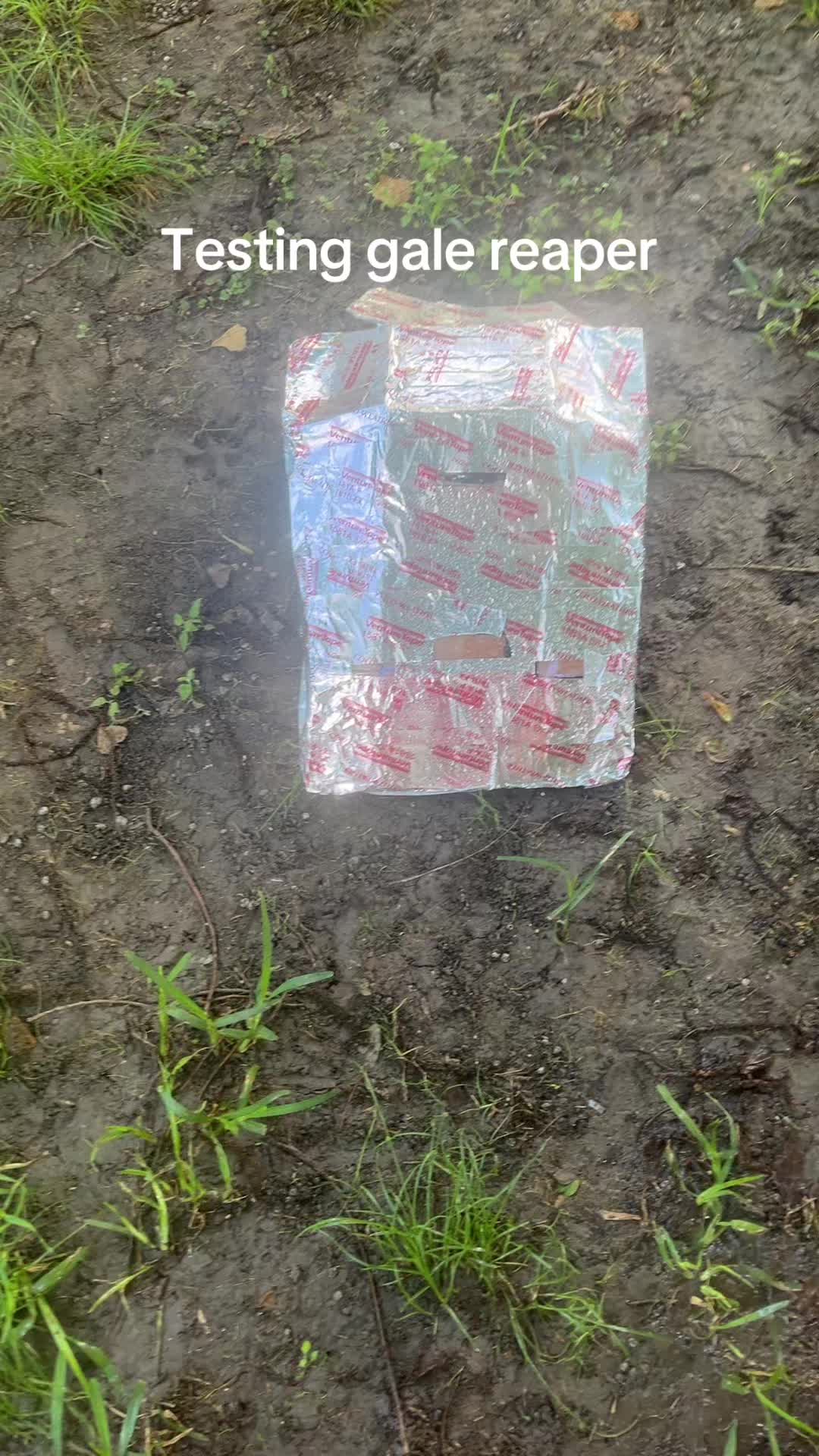@Future_Chasers🌪️