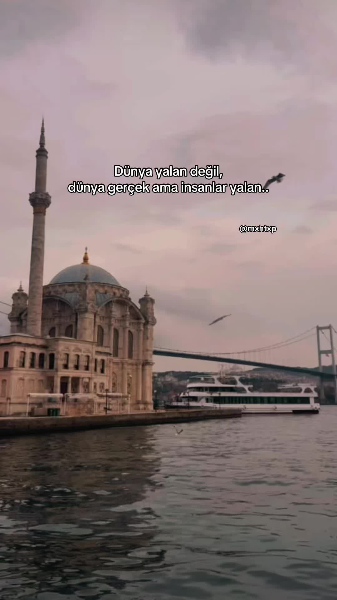 @MehtapTek🇹🇷