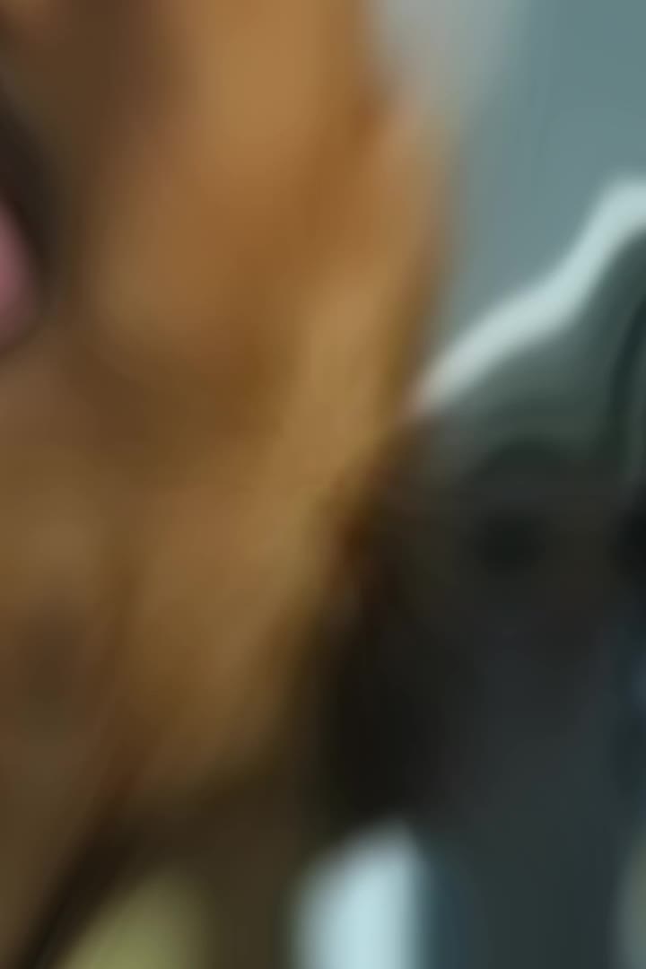 @Bjorn