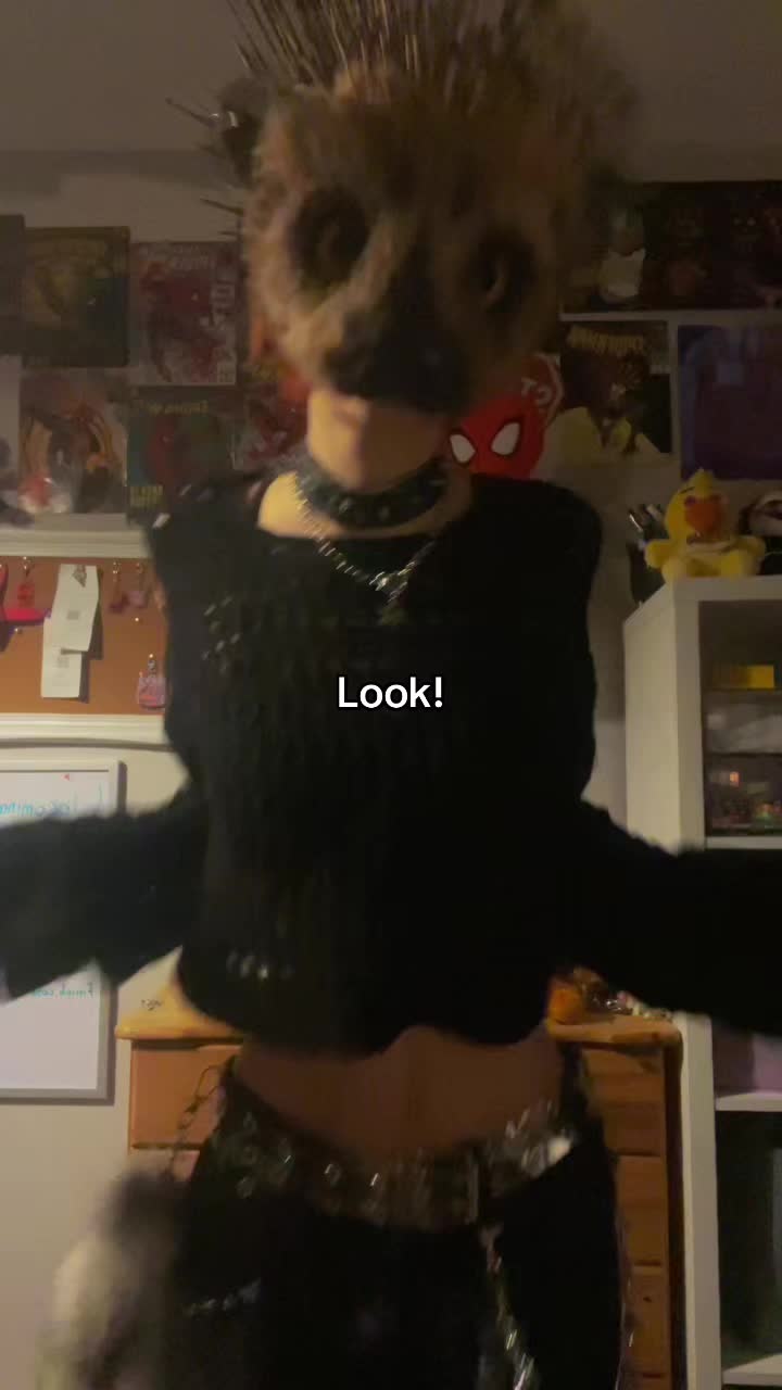 @🐾Max!🦔