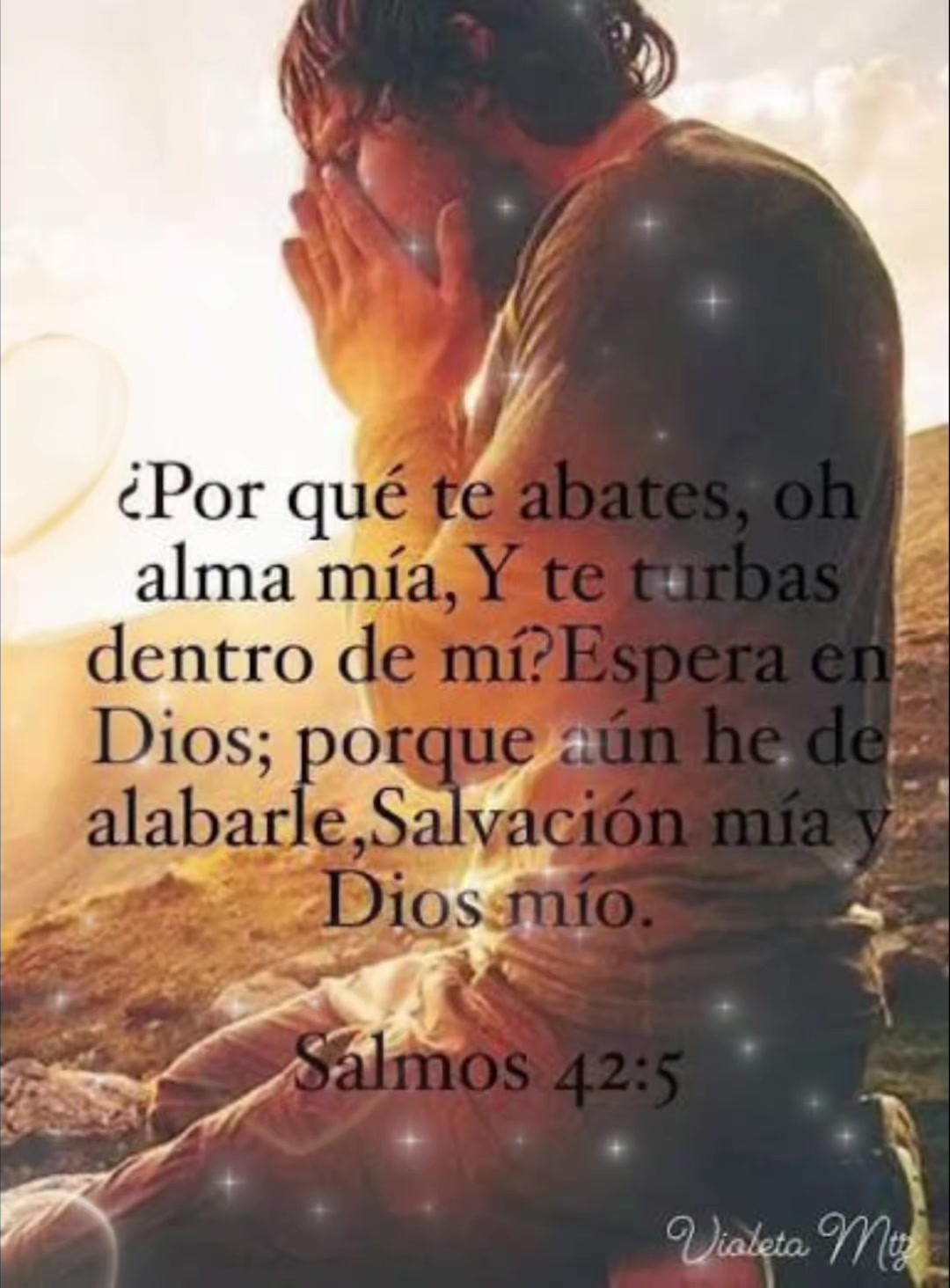 @amparo