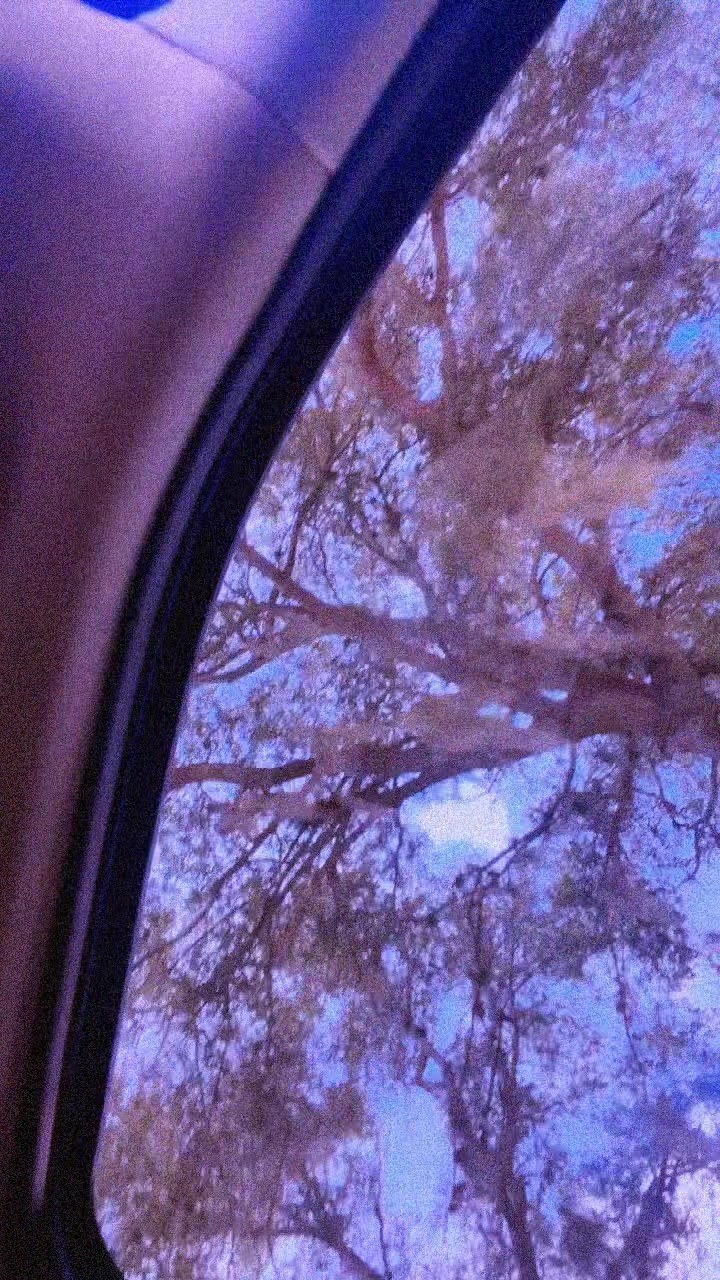 @Loskii_TheG