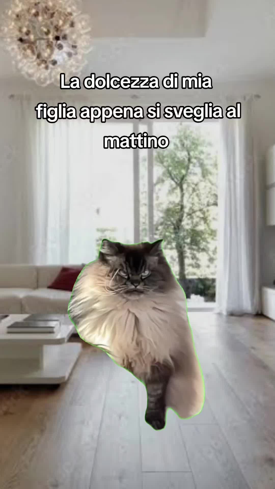 @Nina