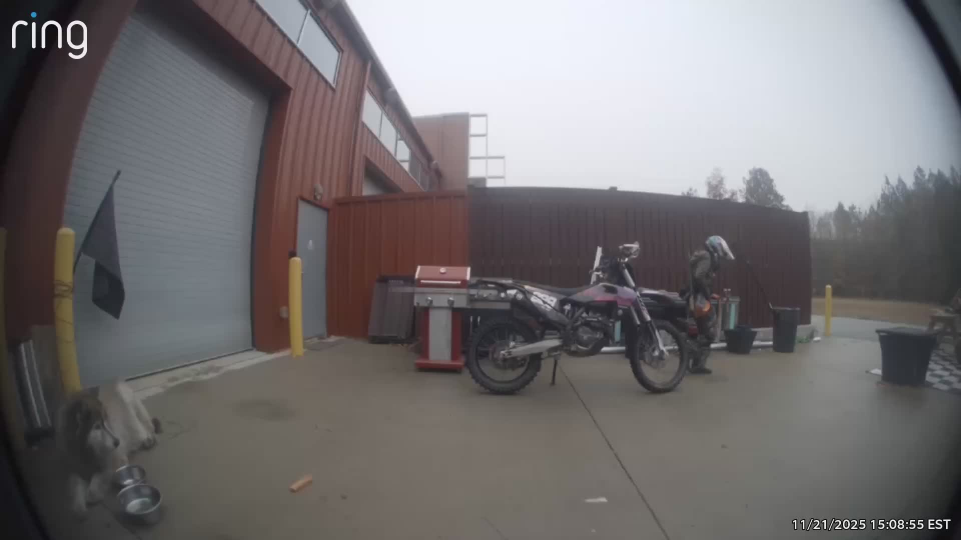 @Kawi_queen_