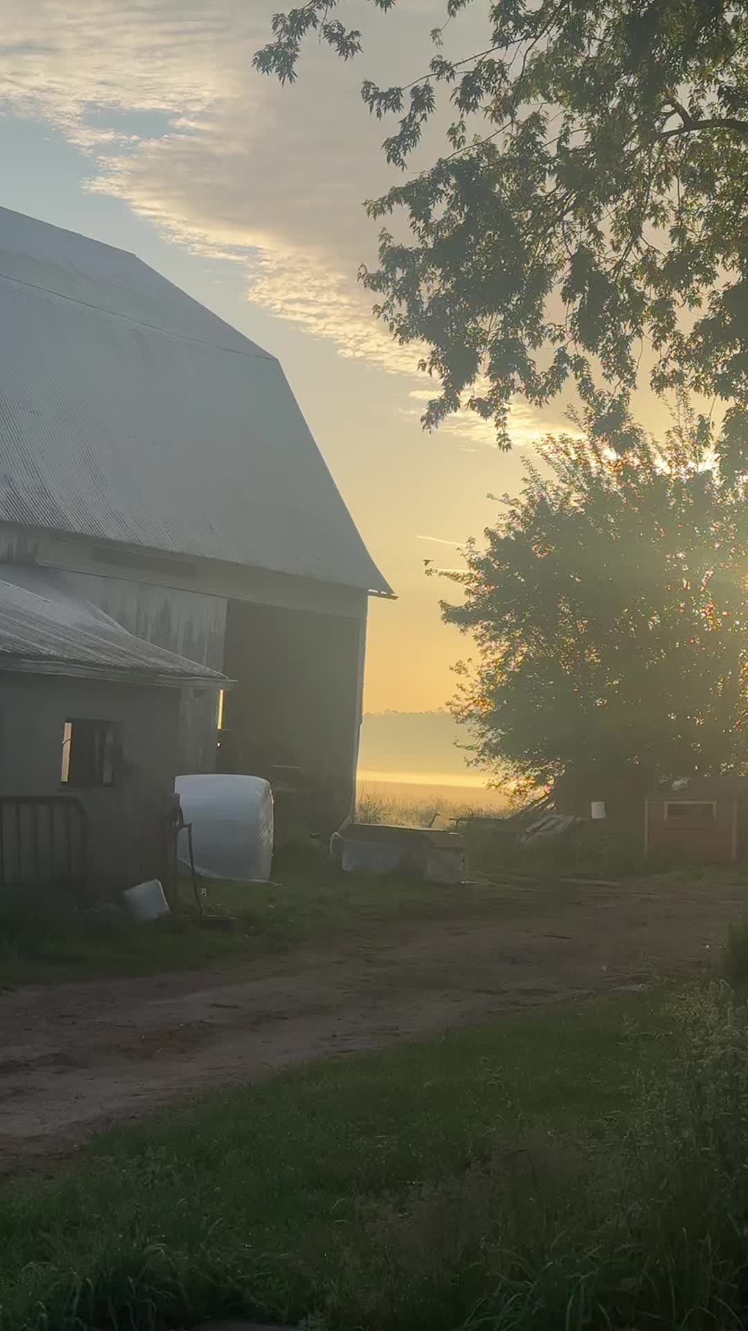 @ASHYA&ensp;SUNRISE