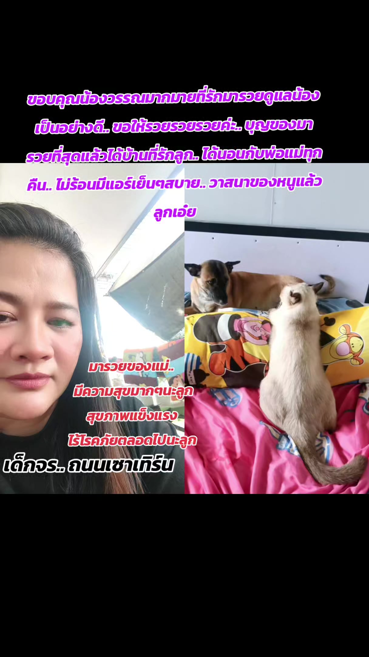 @Phim 1415