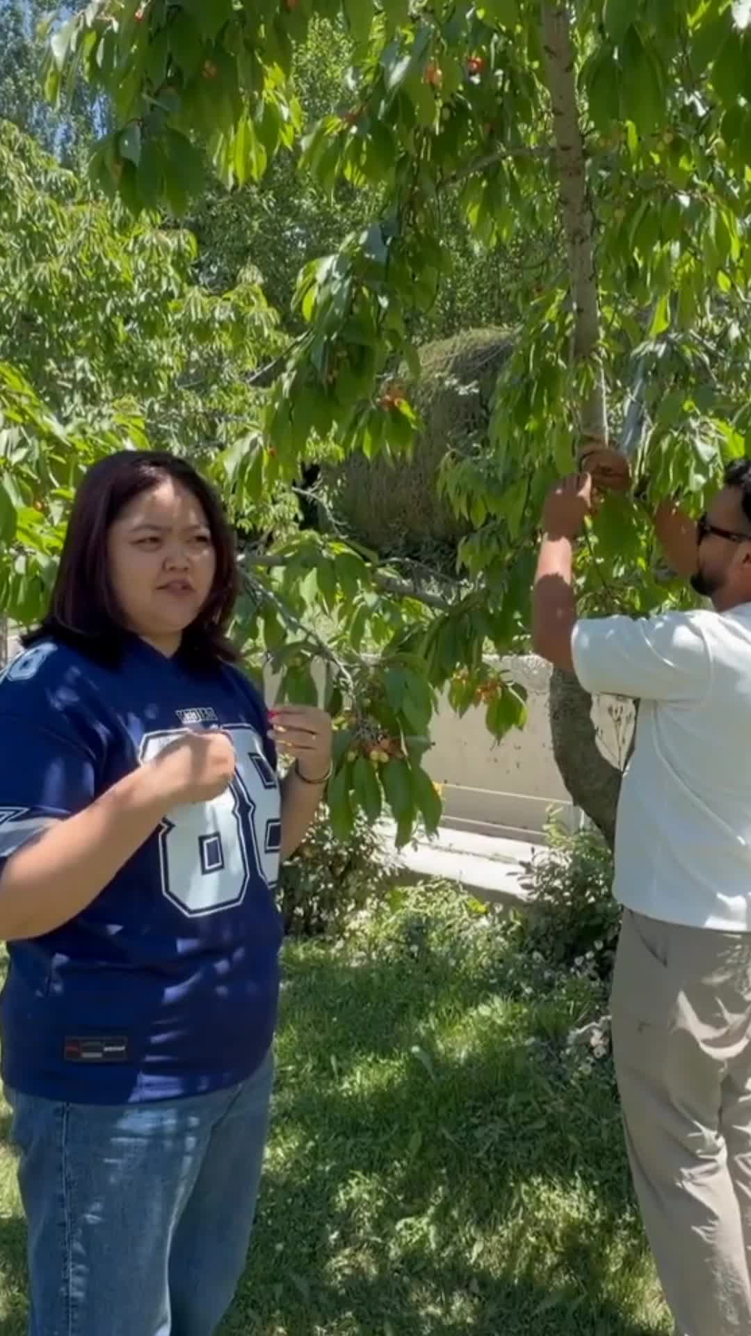 @Daily Family vlog