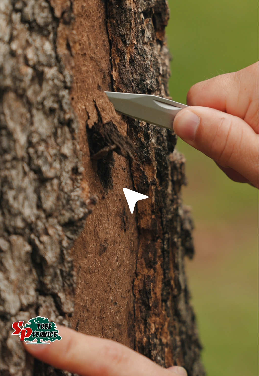 @SPTreeService