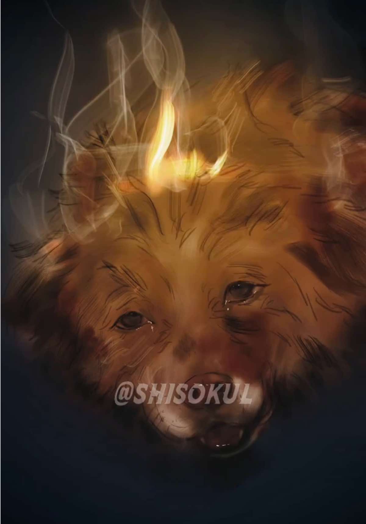 @shisokul