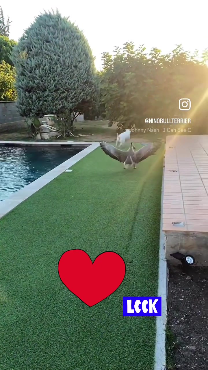 @LOU25000
