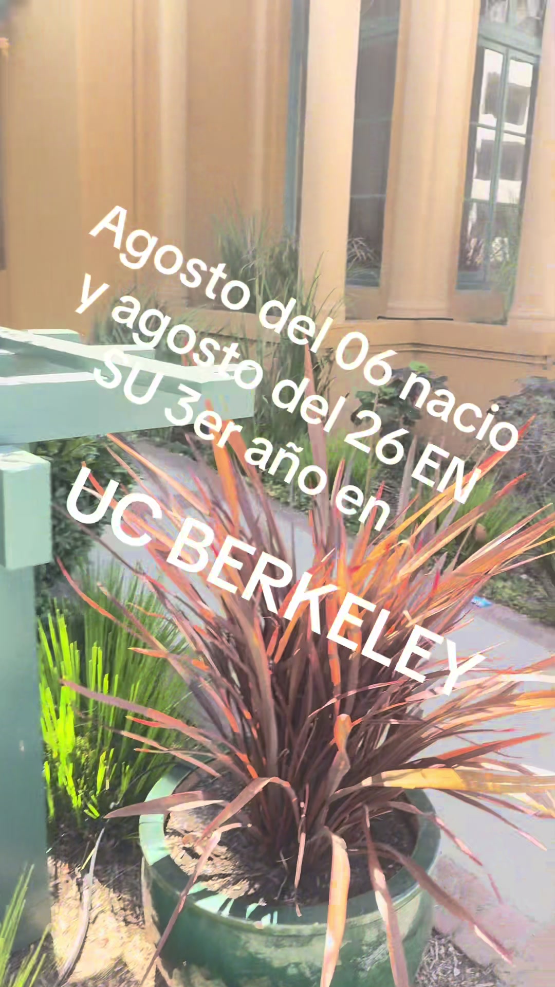 @Vargas oficial