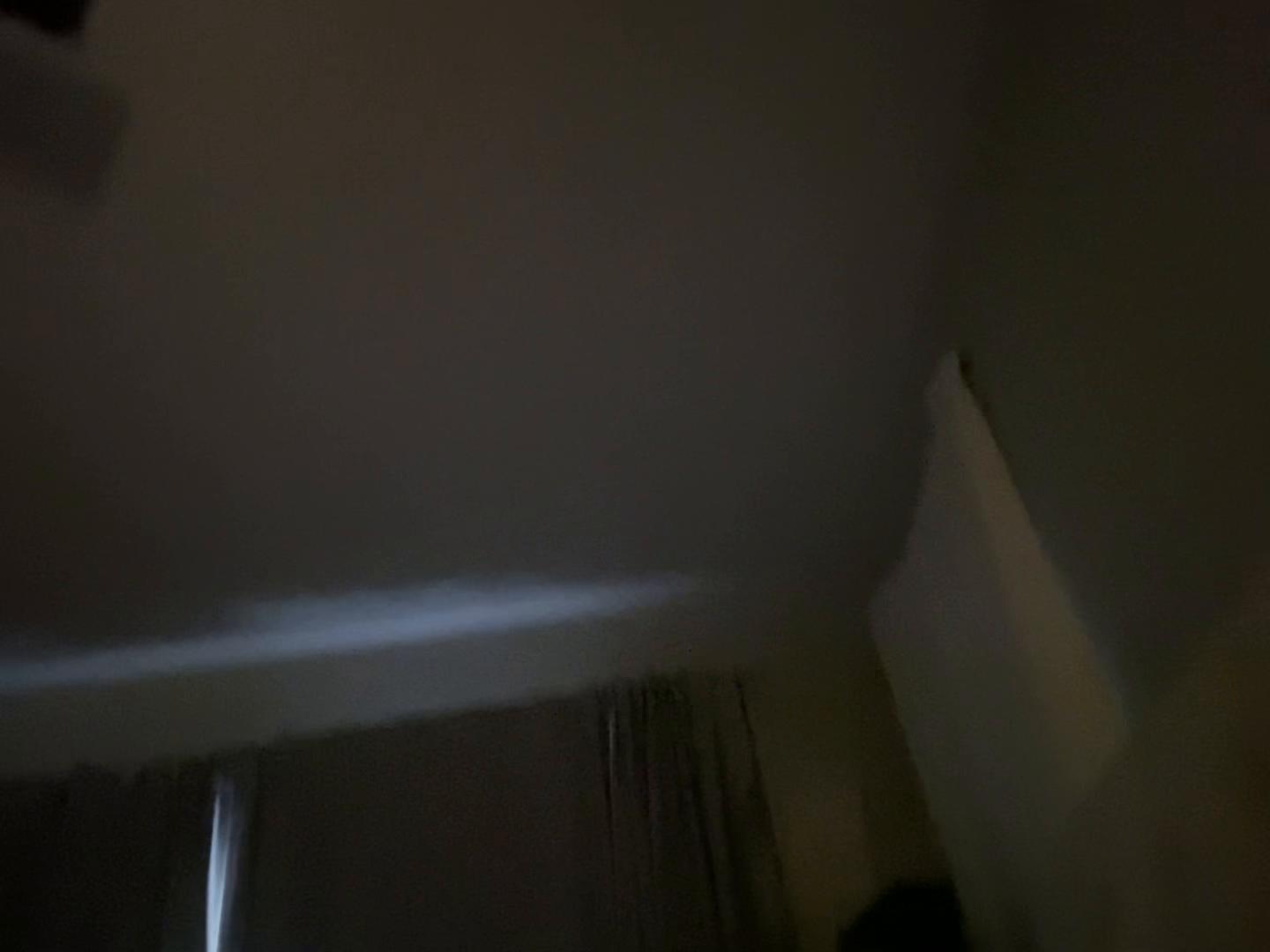 @itty_bitty_Brittany
