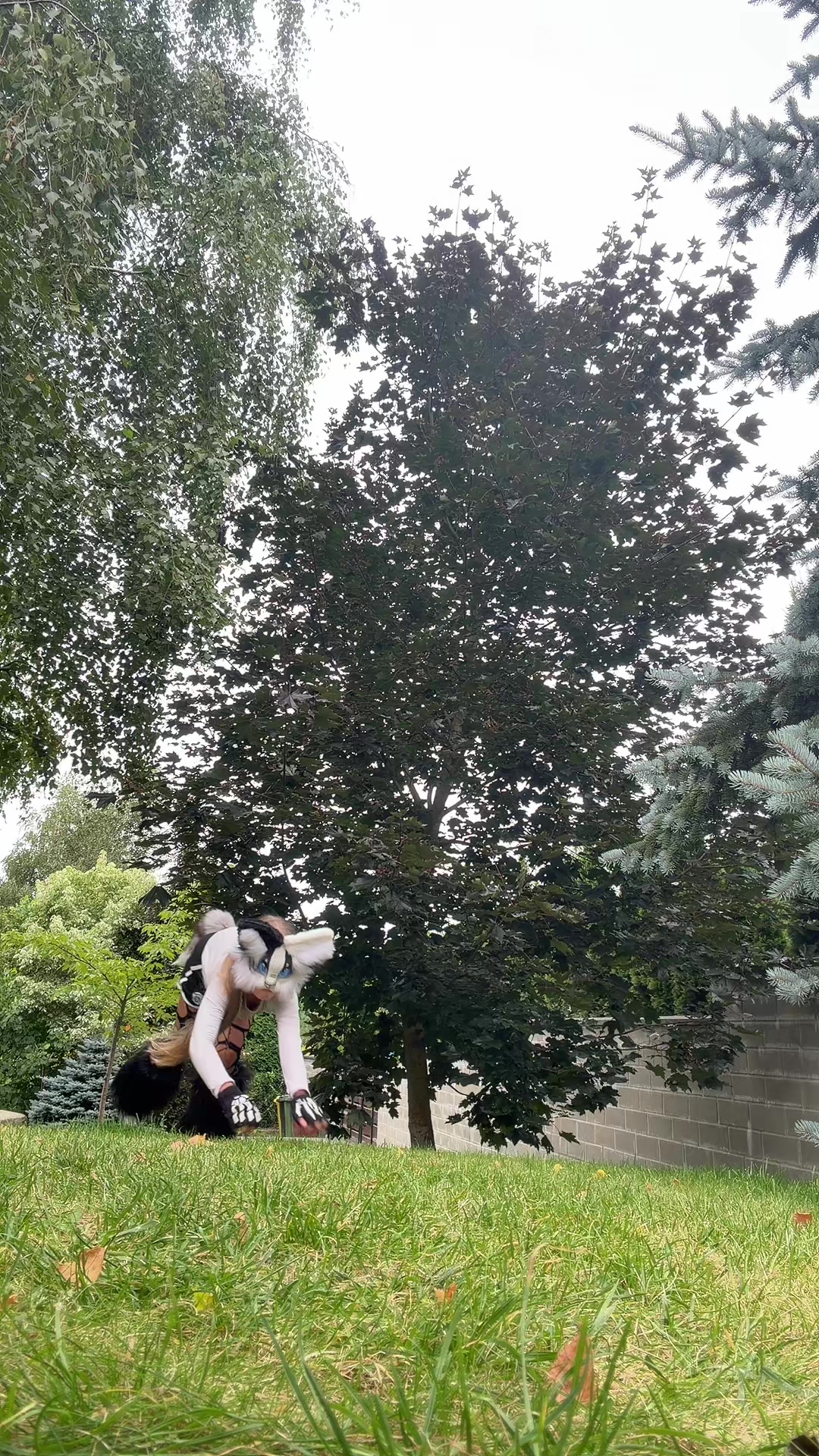@🌿🐾therian_Lexy🐾🌿