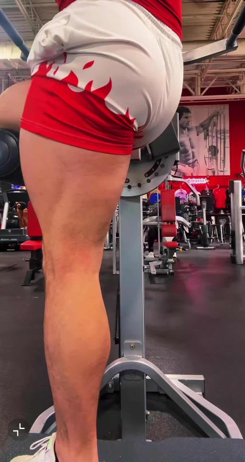 @fitnessglutes