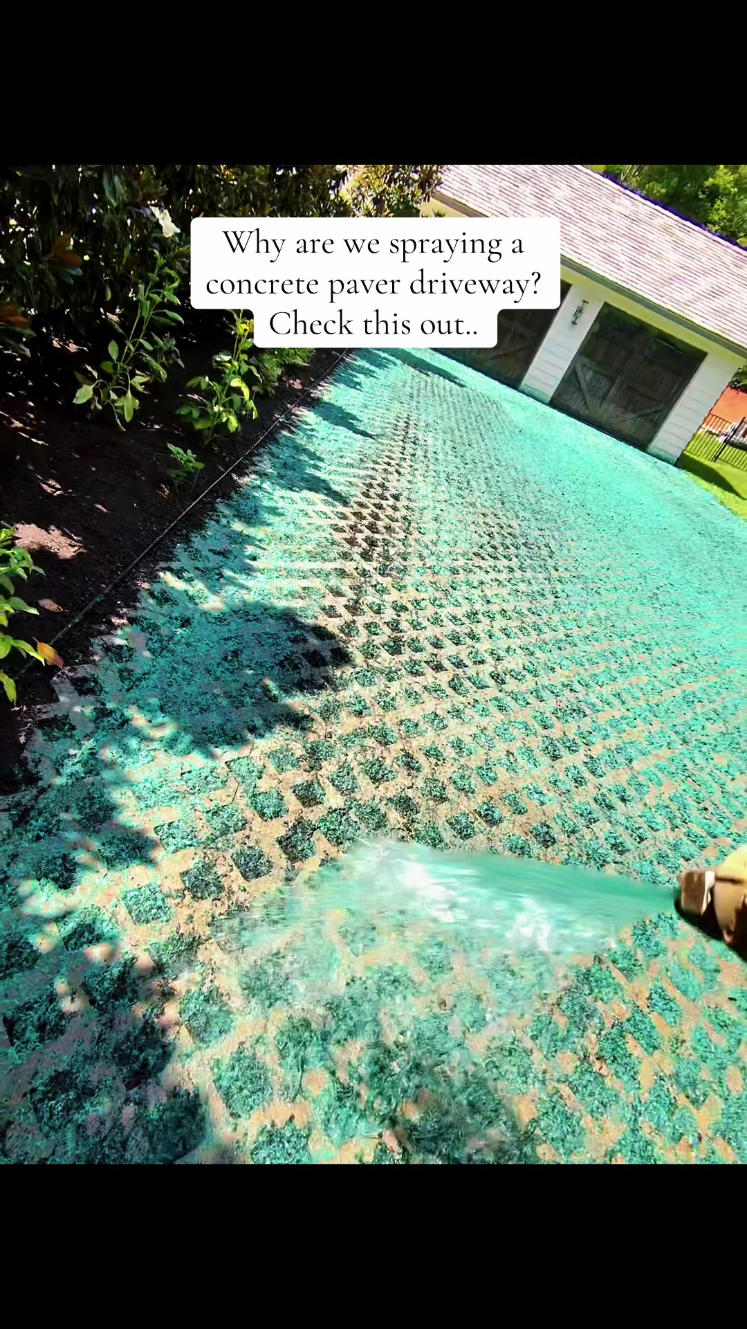 @Hunter