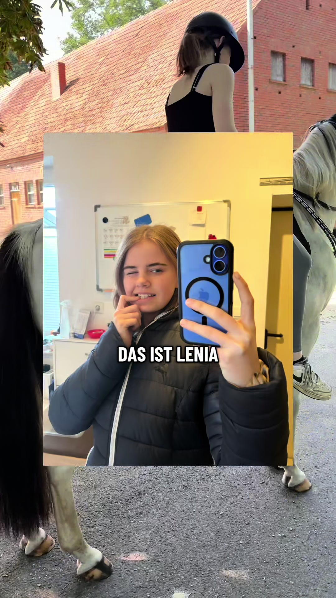 @LENIA&GINGO