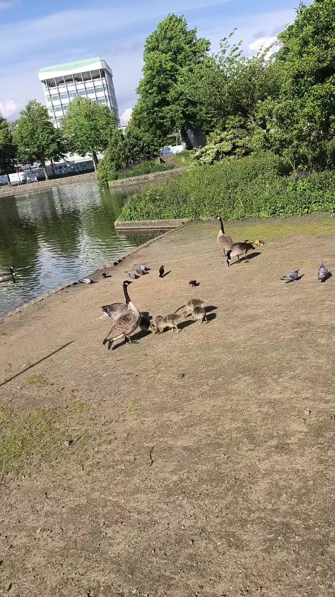 @L͎u͎k͎a͎s͎