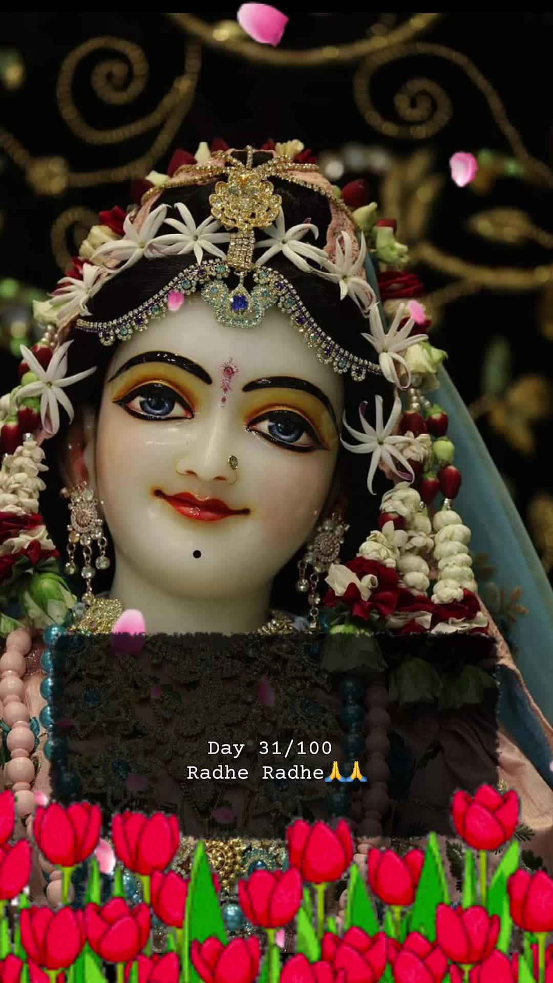 @RadheKrishna🦚🦚🙏🙏