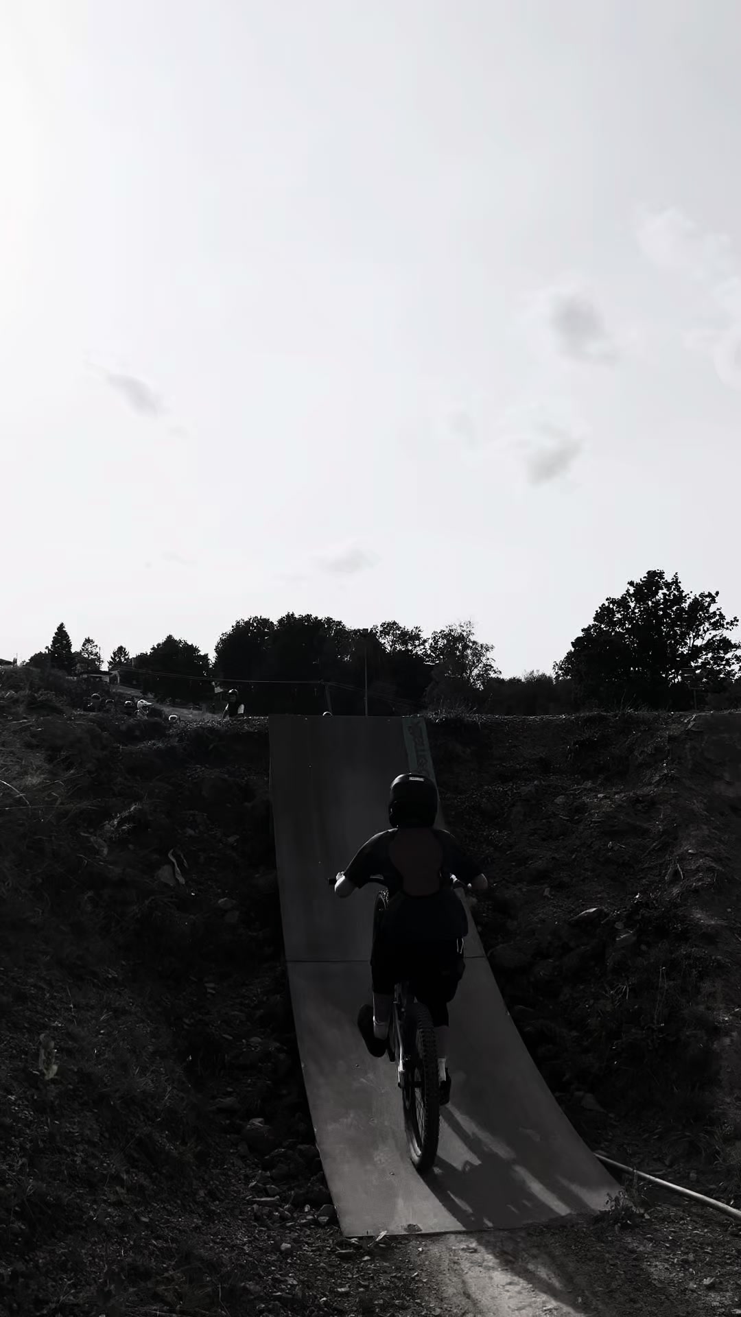 @Freeride_lion2