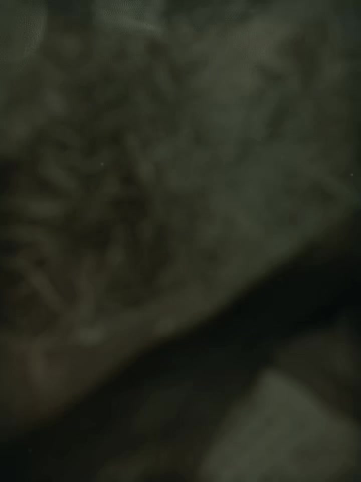 @𝐄𝐯𝐚 𝐀𝐩𝐮:)🦢