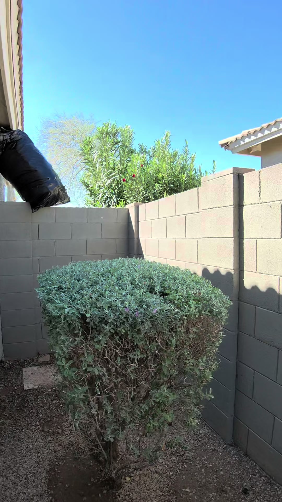 @landscaping