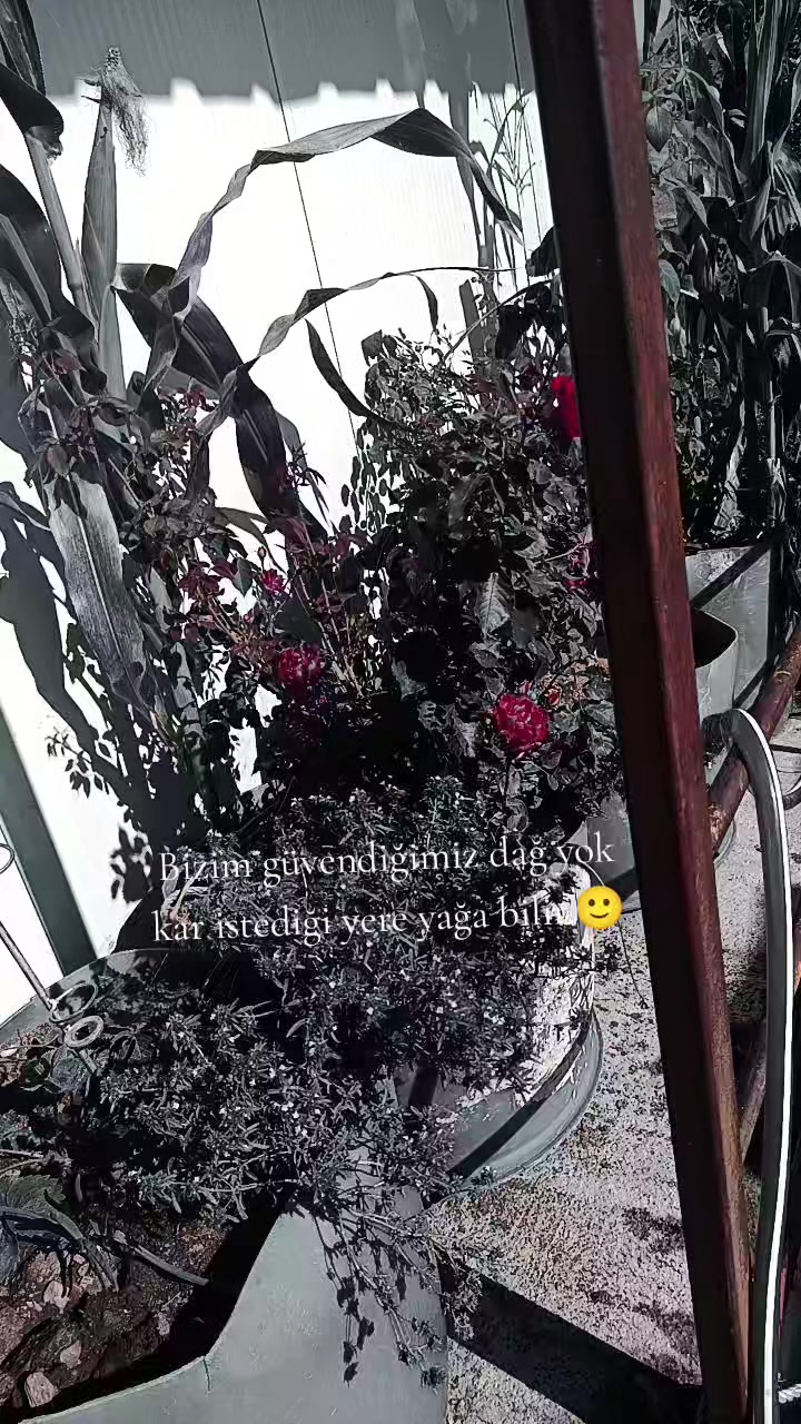 @tuana.015