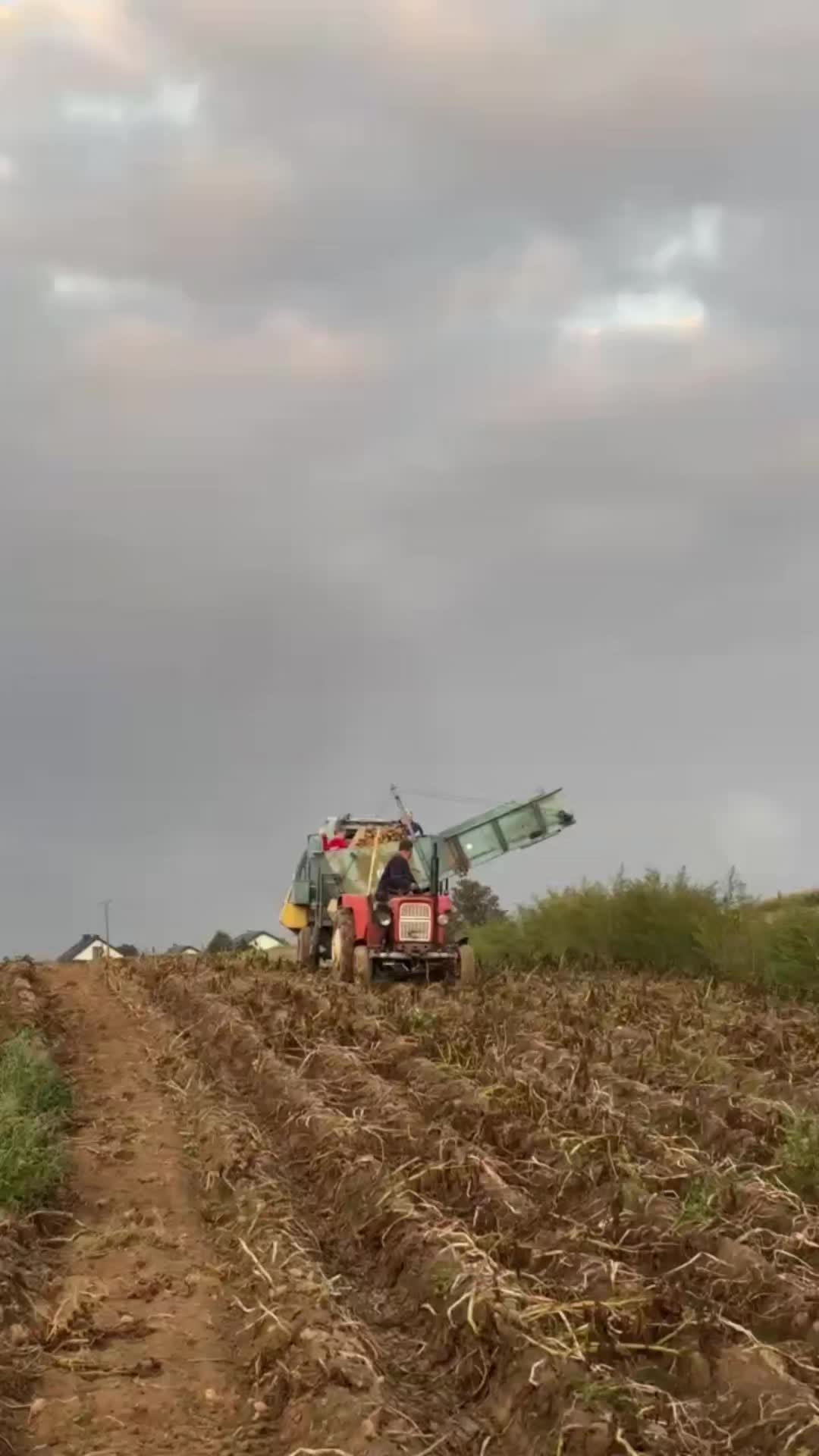 @🚜Rolnictwo 🚜