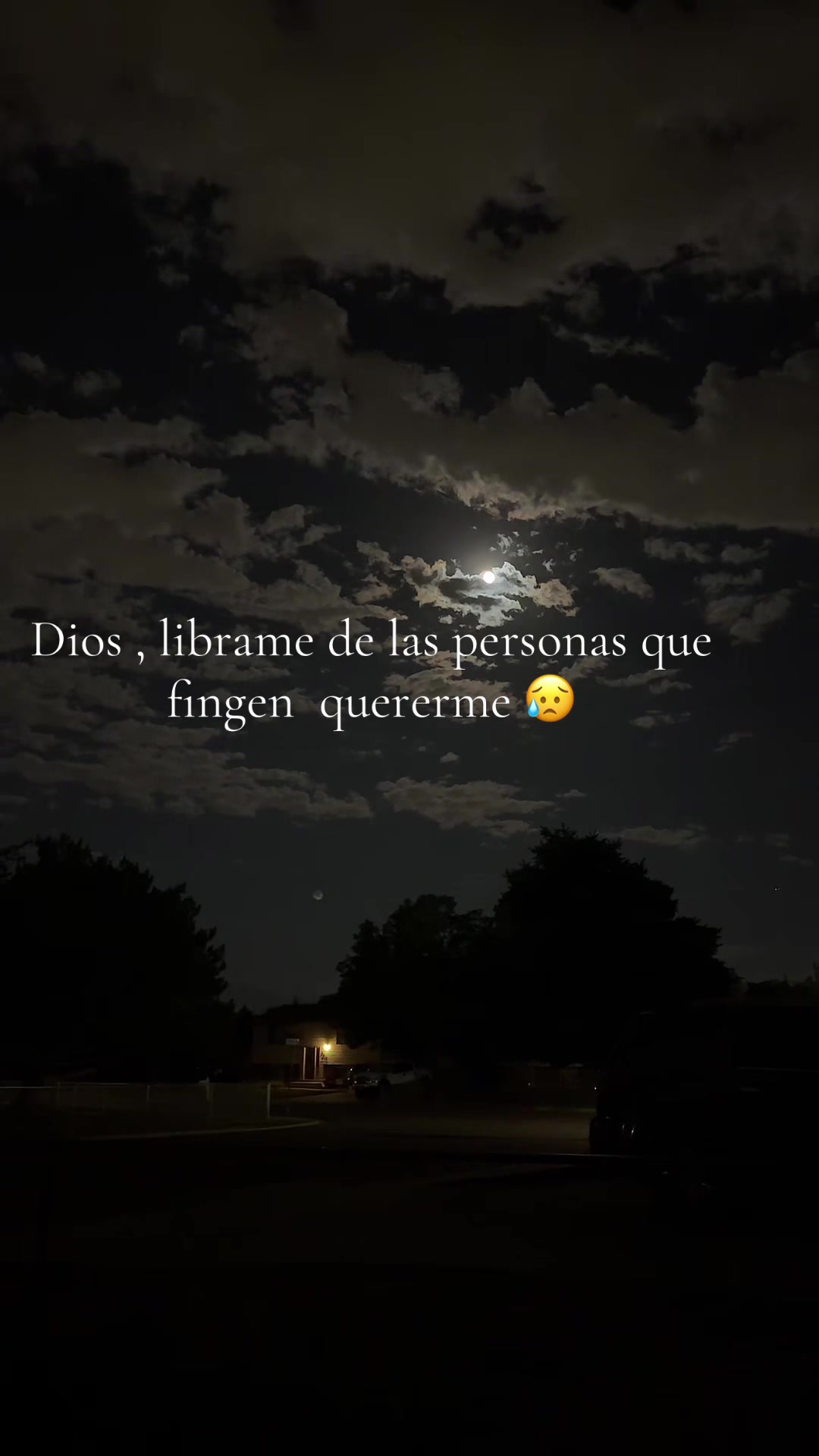 @yani