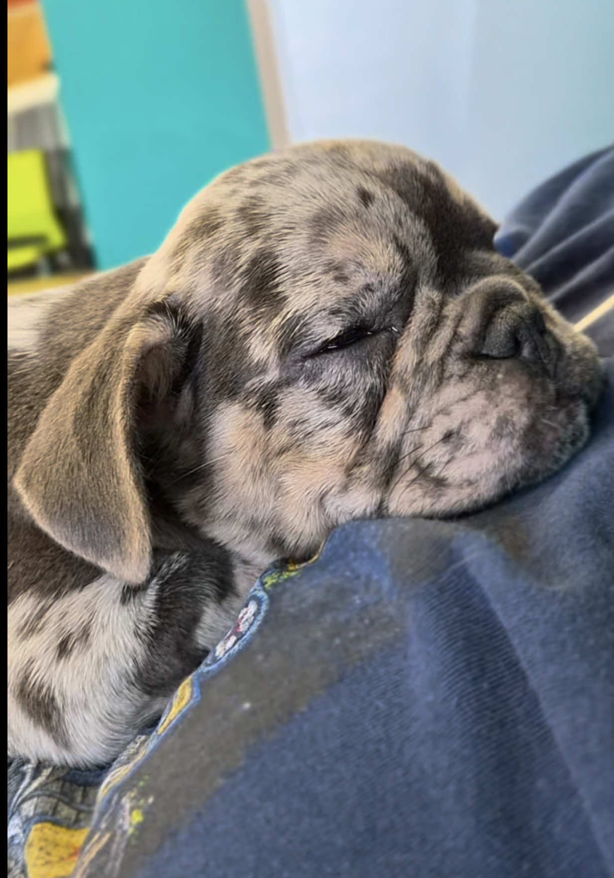 @Petland Oklahoma City