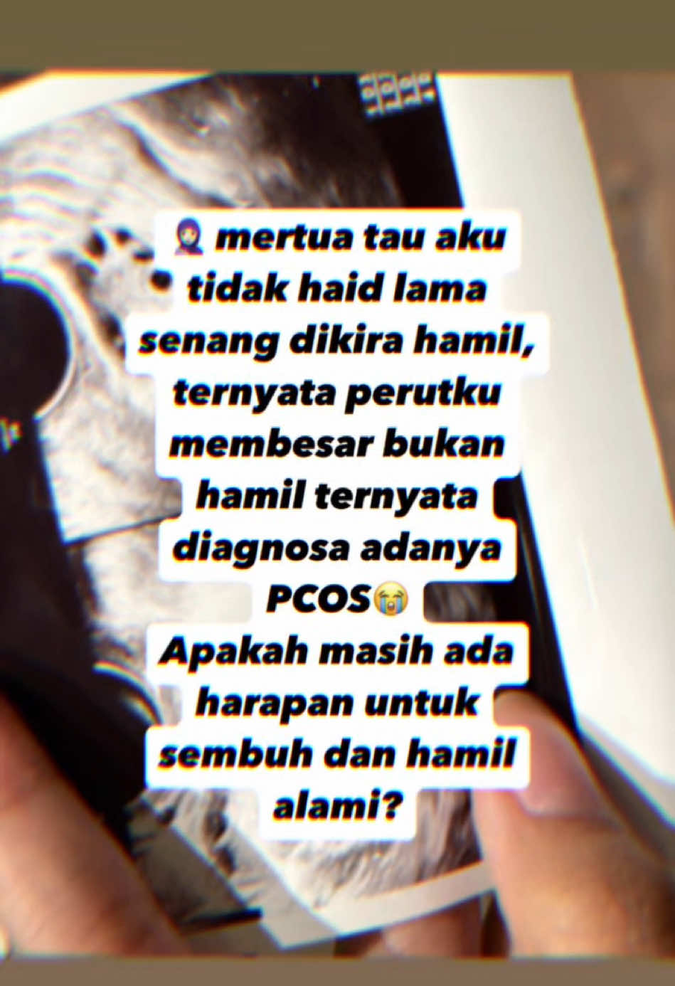 @promilholistik