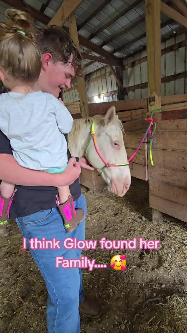 @Small Town Farm LLC