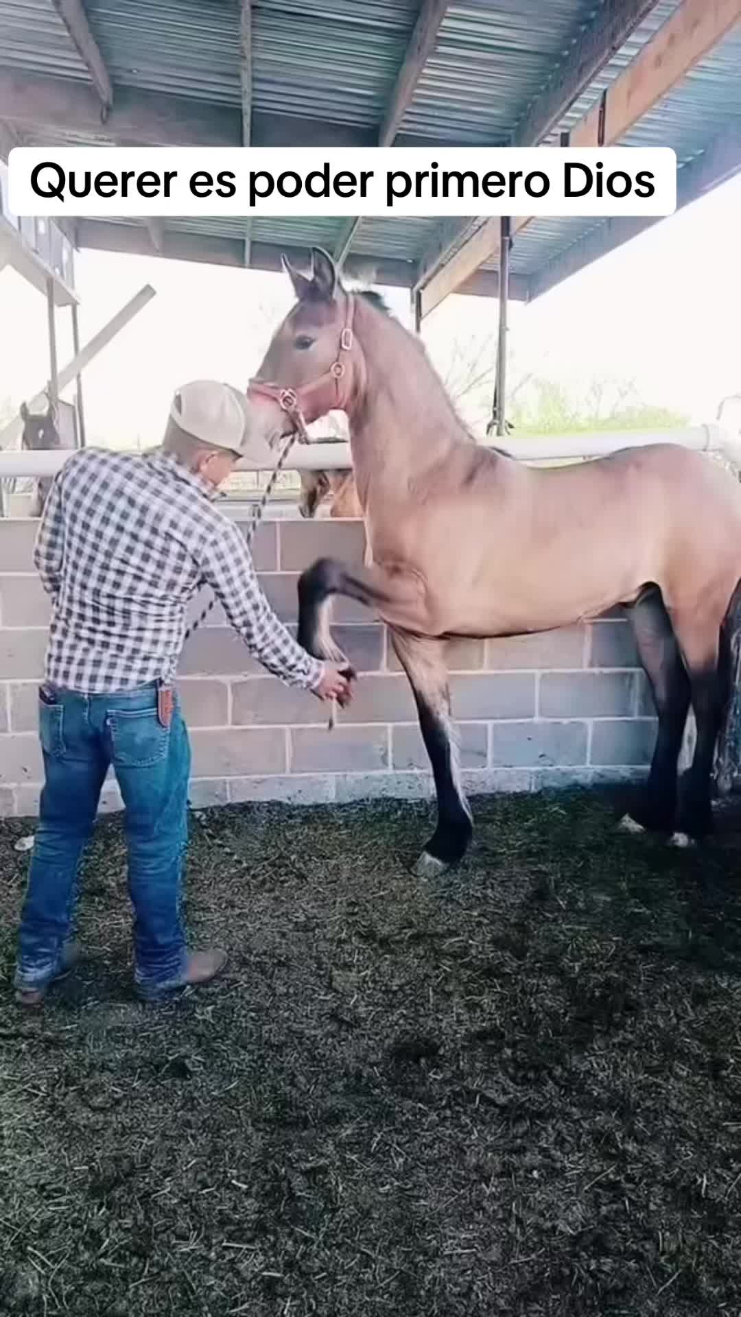 @Ranchoelnaturalito