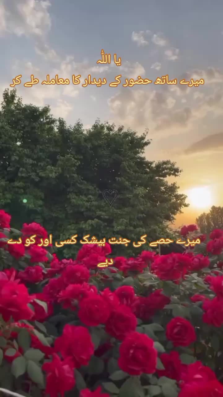 @Mehroo